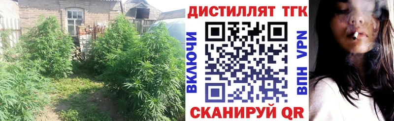 Дистиллят ТГК THC oil  купить наркотики сайты  Спасск-Дальний 