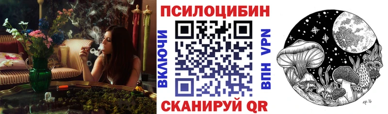 как найти Спасск-Дальний Галлюциногенные грибы ЛСД